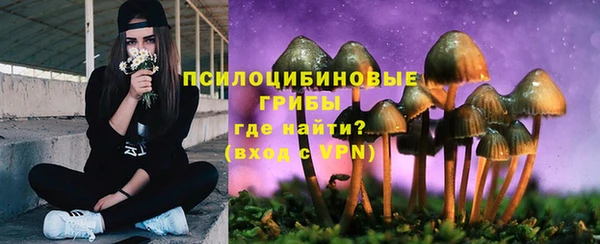 стафф Заволжск