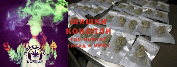 стафф Заволжск